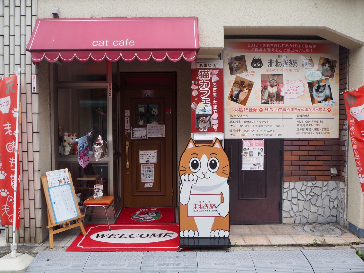 猫カフェ まねき猫 広島の猫好き必見！横川駅すぐ近くの老舗猫カフェ